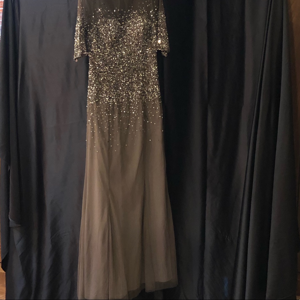 David’s Bridal Adrianna Papell Gown